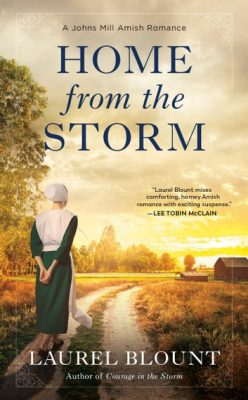 Home from the Storm book cover